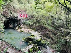 -宁波市保国寺古建筑博物馆