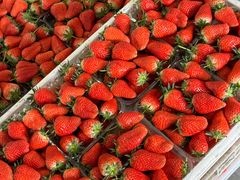 -东方鼎信农副产品交易中心