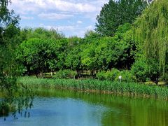 -大兴滨河森林公园