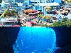 -香港海洋公园