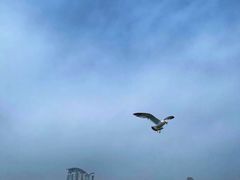-星海蹦极娱乐