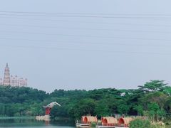 -顺峰山公园