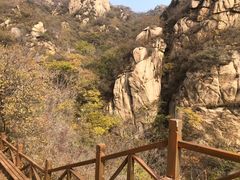 -大岭沟猕猴桃谷风景区