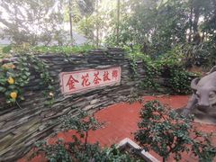 -金花茶公园