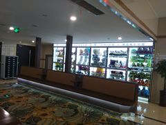 -UME影城(4DX情侣金牛店)