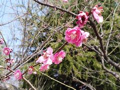 -白塘生态植物园
