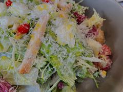 田野沙拉-Osteria意大利餐厅