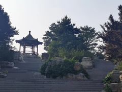 -大兴滨河森林公园