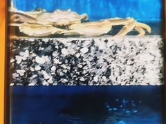 -宝燕海鲜(好爱店)