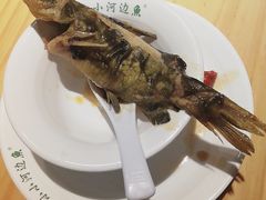 -小小河边鱼(天润城店)