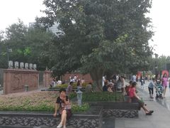 -唐城墙遗址公园