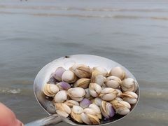 -启东黄金海滩景区