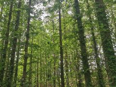 -国家植物园南园