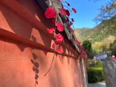 -青岛崂山太清宫