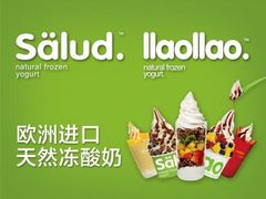 -Salud撒露欧洲冻酸奶(北苑上品店)