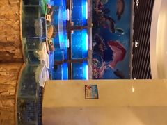 -潮福汇