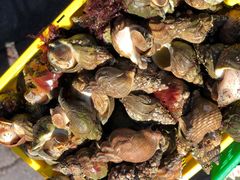 -Oban Seafood Hut..(Green Shack)