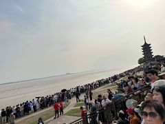 -观潮胜地公园
