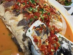 -全乐鱼馆·淳牌有机鱼直营店