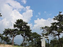 -沂蒙山旅游区云蒙景区(蒙山国家森林公园)