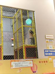 -疯狂的麦咭(长沙店)