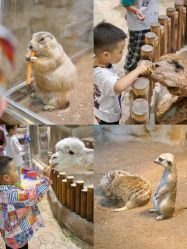 -宝燕乐园(闵行旗舰店)