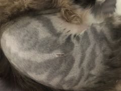 -美联众合24小时·皮肤科·外科·全科诊疗中心(华苑分院)