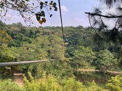 -芦仙山景区-飞越丛林探险乐园