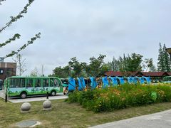 -黄海国家森林公园