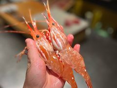 -水之惠鲜鱼料理(王府大街店)