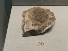 -湖南省地质博物馆