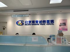 -北京观赏动物医院·24小时大型综合·猫专科·异宠专科