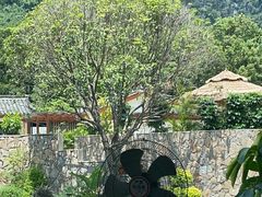 -生态苑农庄(十里画廊遇龙河店)