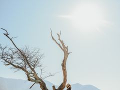 -石棉县孟获城