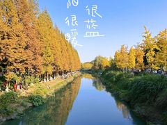 -升仙湖公园