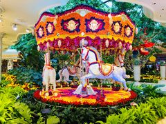 -拉斯维加斯永利酒店