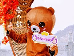 -少华山国家森林公园