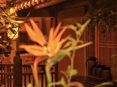 -叶叶菩提·晋福宫