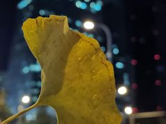 -中央广播电视总台(光华路办公区)