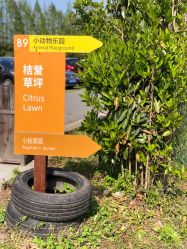 -前小桔亲子创意农场·草莓采摘·露营烧烤