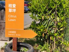 -前小桔亲子创意农场·草莓采摘·露营烧烤