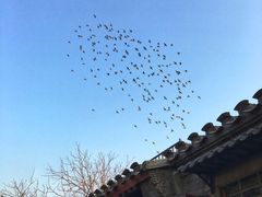 -北京国子监胡同