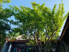 景观位-京兆尹(雍和宫店)