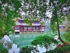 -桂湖森林公园