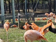 -秦皇岛野生动物园