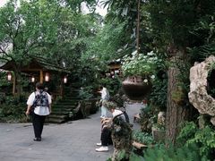 -青城甲(青城山店)