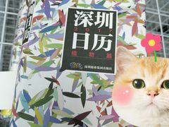 -深圳特区报业大厦