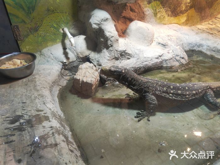上海大自然野生昆虫馆景点图片