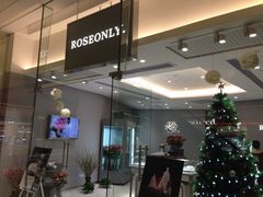 -ROSEONLY诺誓(广州K11店)