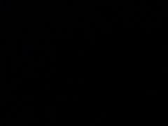 -百姓渔村(朝阳店)